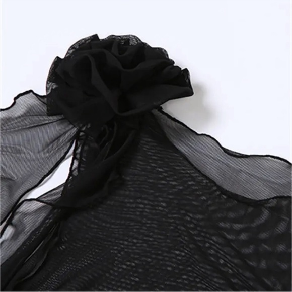 5⭐️CASA B| Florencia Sheer Tulle Flower Appliqué Crop Blouse top - Picture 3 of 9